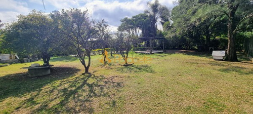 Imagem 13 de 16 de Rural Chacara Com 5 Quartos - 880808-v