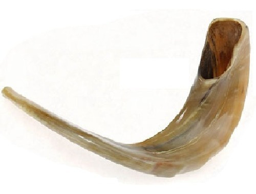 Shofar Carnero B4. Entre 38 Y 42 Cm. + Manual