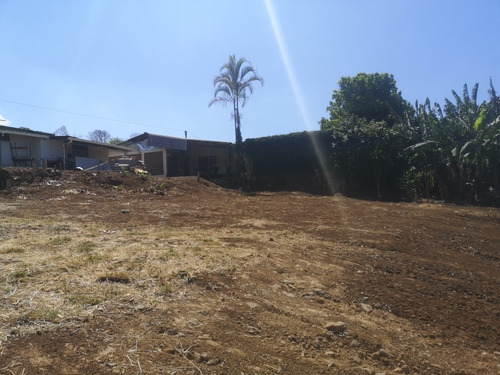 Imagen 7 de 10 de Terreno En Naranjo
