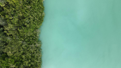 Venta De Lote En Bacalar Con Laguna Club
