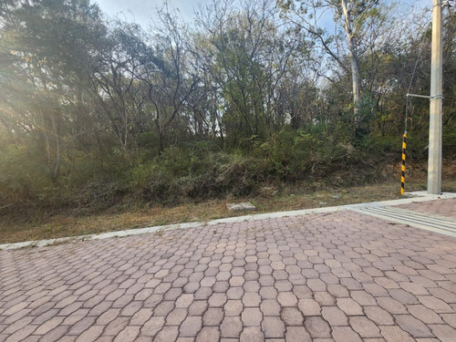 Venta Lote Gladiola 34 Cerca De Acceso Con Vistas Panorámicas Y Todos Los Servicios Inlcuyendo Proyecto En Fracc Rancho San Diego Ixtapan De La Sal Edomex