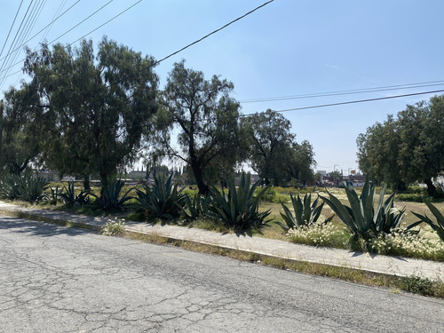 Renta-venta Terreno Para Desarrollo Comercial Y/o Habitacional, Zumpango.