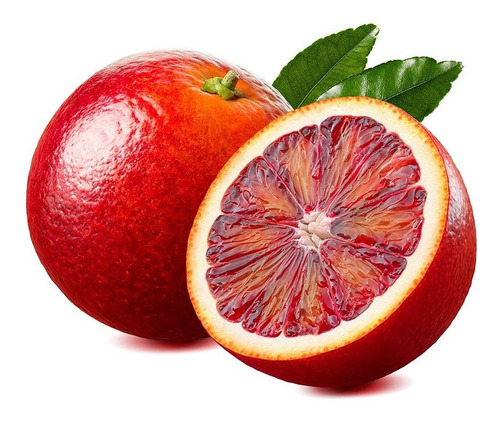 Naranjo Sanguíneo De Fruto Rojo