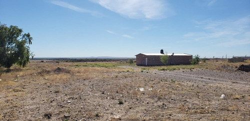 Imagen 8 de 30 de Alquilo Galpon 500 M2 - Predio 11.000 M2 Y Ofi 60 M2 -