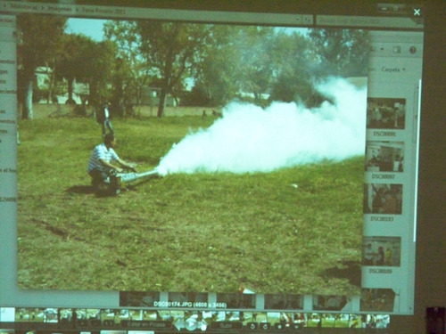Fumigaciones Mejores Control De Plagas Habilitaciones Imm