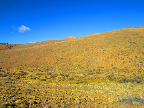 Inmobiliaria Comodoro - Campo En Rio Senguer