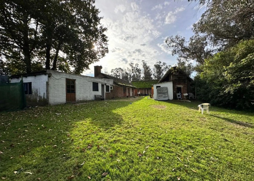 Sólida Casa De Muy Gran Tamaño Y Con Espectacular Terreno