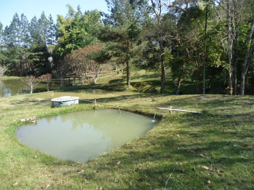 Imagem 14 de 14 de Excelente Sitio Com Lago Ref 1290