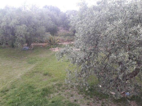 Imagen 8 de 9 de Vendo Casa Quinta A Metros Del Laberinto De Borges