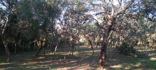 Imagen 3 de 5 de Excelente Lote En Venta En Carpinteria.