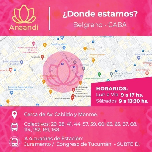 Imagen 6 de 7 de Túnica Georgette Bordado Lucknow A Mano India Divina :)