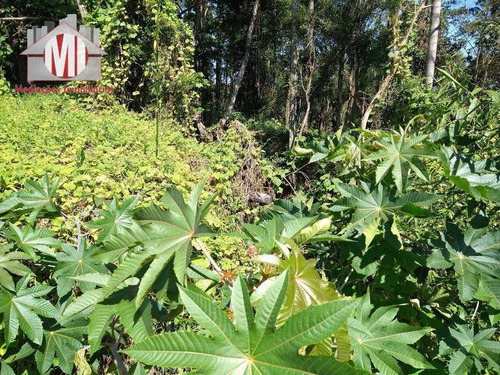 Imagem 8 de 30 de Chácara Com Excelente Terreno, Pomar, Riacho, Pertinho Da Cidade Com 02 Dormitórios À Venda, 12000 M² Por R$ 240.000 - Pedra Bela - Pedra Bela/sp - Ch0666