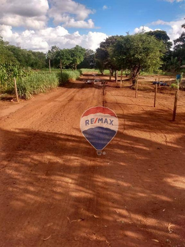Imagem 8 de 8 de Área Para Alugar, 8000 M² Por R$ 5.000,00/mês - Boa Esperança - Paulínia/sp - Ar0034
