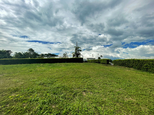 Se Venden Lotes Condominio Cerrado Campestre La Tebaida