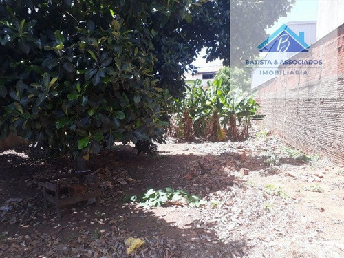 Imagem 4 de 6 de Terreno A Venda No Bairro Parque Jambeiro Em Campinas - Sp. - 2899-1