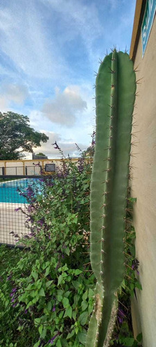 Imagen 6 de 30 de Alquilo Casa Con Pileta