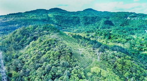 Imagem 7 de 15 de Área Para Venda Em Campo Bom - Cvarea165_2-1574138