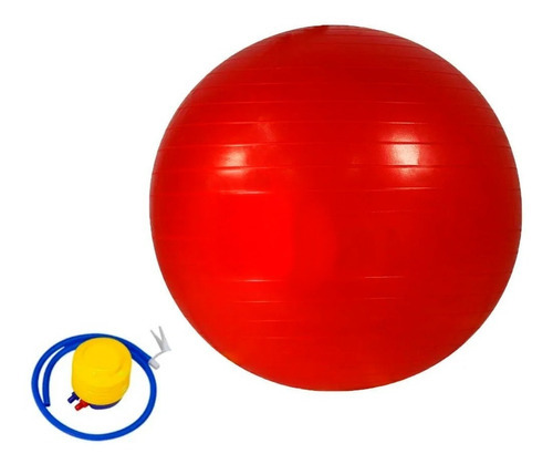 Bola Suiça Pilates 55cm Yoga Abdominais Gym Ball C/ Bomba-vm