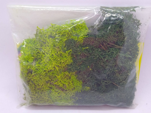 Imagen 6 de 6 de Nico Liquen Natural 2 Tonos 8610 Noch 35 Grs H0 (edh 75a)