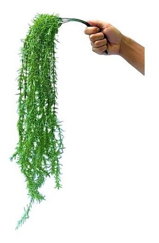 Buques Folhagens Pendente Capim Planta Artificial Realista