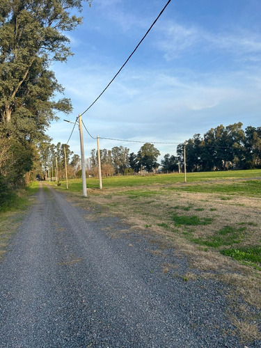 Lotes En El Retiro, Cañuelas. Ruta 3 Km 64 (11 A 22)
