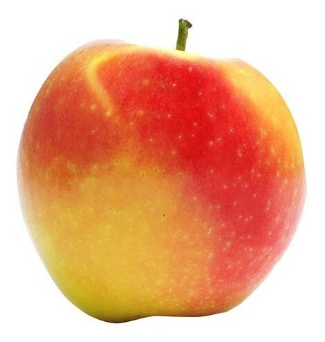 Manzana Gala Roja Y Verde Orgánica X 9 Kg