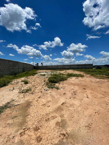 Imagem 11 de 14 de Terreno Em Igarata 3.000m2 Cercado