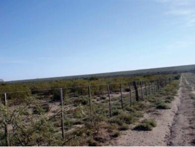 Imagen 7 de 12 de Campo - La Pampa. Caleu Caleu