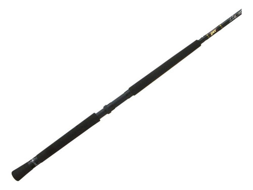 Lew's Wally Marshall Troll Tech 10'0 Caña Pescar Para 2