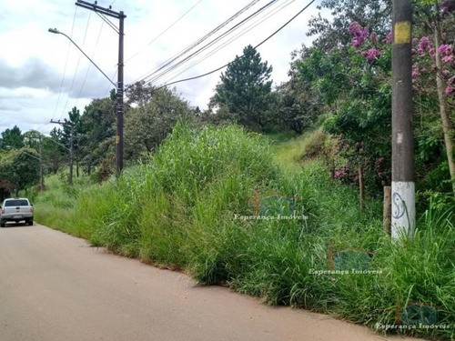 Ref.: 3813 - Terrenos Em Santana De Parnaíba Para Venda - V3813