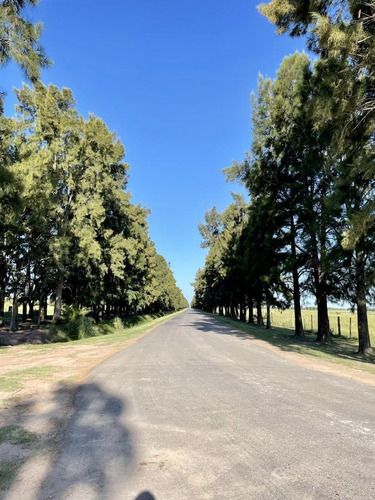 Imagen 6 de 21 de Venta Terreno Haras De Funes Club De Campo