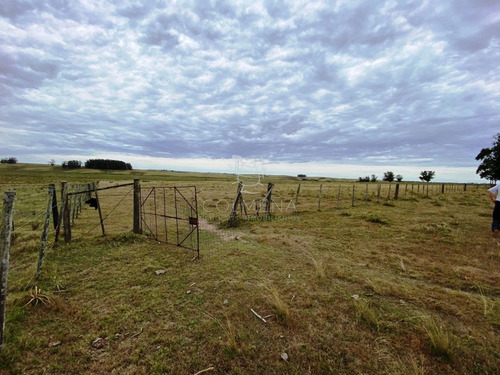 Imagen 9 de 30 de Negocio!! Antes U$s 320000, Hoy Liquida En U$s 185000 - Jose Ignacio José Ignacio
