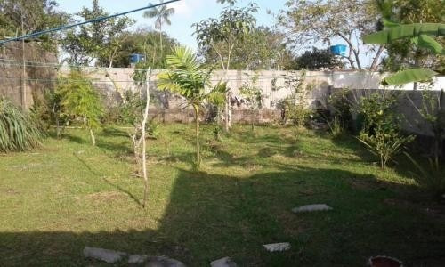 Chácara No Litoral Sul, Com 1 Quarto Em Itanhaém/sp