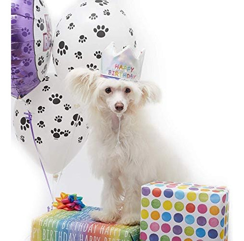 Sombrero Con Corona De Cumpleaños De Pet London Para Perros