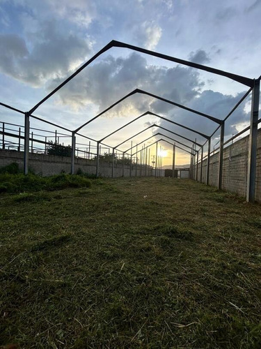 Vende Terreno Con Proyecto De Galpón, Ubicado En El Fundo De Santamaria De Los Guayabitos, San Diego Edo Carabobo. Lino Juvinao