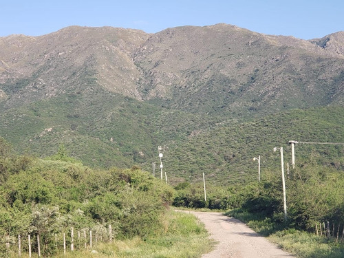 Imagen 2 de 16 de Hermosa Fracción De Bosque En La Zona Mas Alta!!!