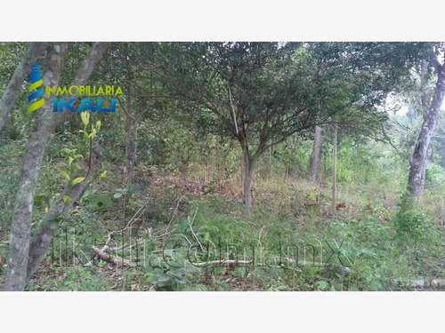 Imagen 8 de 10 de Terreno Comercial En Venta Escolin De Olarte
