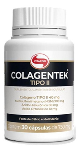 Colagentek Colágeno Tipo II Msm Ácido Hialurônico VITAFOR