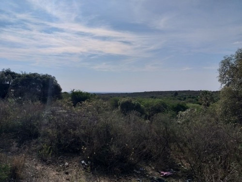 Imagen 6 de 10 de Vendo 1 Hectarea Apta Granja