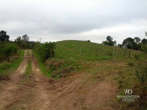 Chácara À Venda, 2275517 M² Por R$ 17.000.000,00 - Centro - Campo Magro/pr - Ch0045