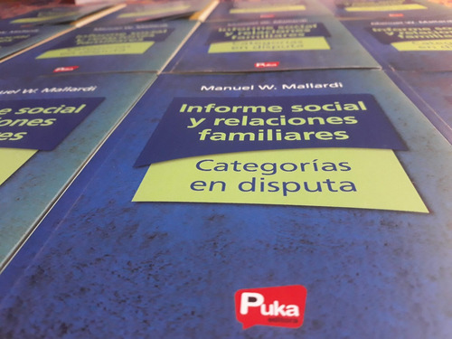 Imagen 5 de 6 de Informe Social Y Relaciones Familiares:categorías En Disputa