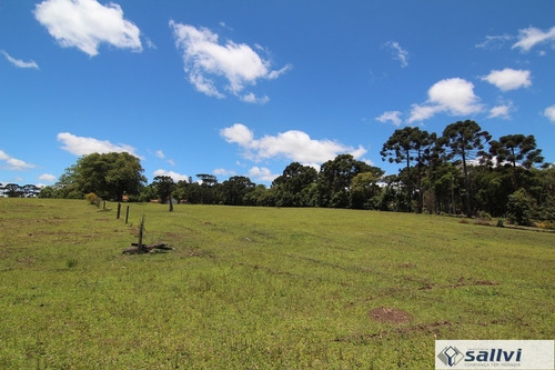 Imagem 10 de 30 de Chácara Para Venda - 50382.001