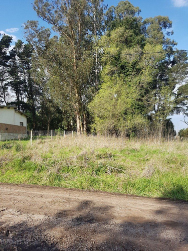 Imagen 5 de 6 de Lote Sierra De Los Padres Zona Pierina Y Pascual