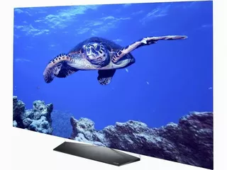 Oled Smart Tv LG 65 Ultra Hd 4k C/garantia 2022