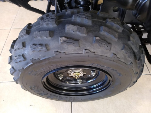 Kawasaki Brute Force 300