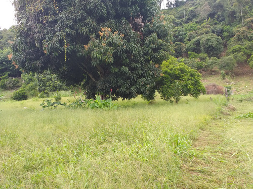 Vendo Lote La Mesa