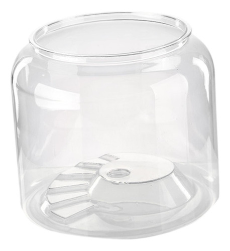 Tortuga Tank Step Terrario Desk Decorativo Xl Sin Tapa