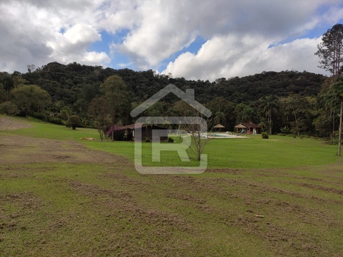 Imagem 27 de 30 de Excelente Sitio Com Topografia Plana, Rico Em Aguá - 12 - 69839868