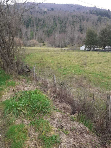 Pucon Y Caburgua Exclusivas Parcelas En (83774)
