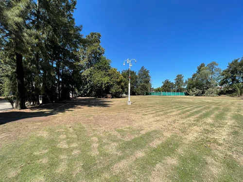 Imagen 3 de 13 de Terreno - Ituzaingó